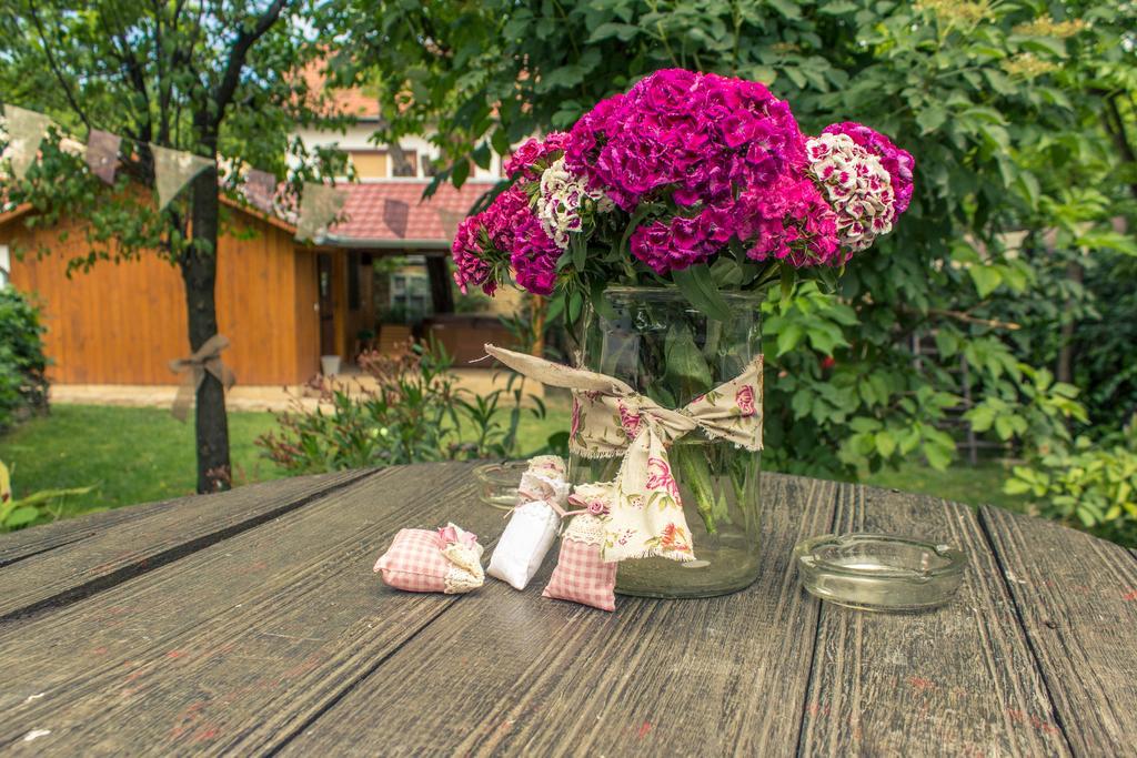 Ana Guesthouse Senta Exteriér fotografie