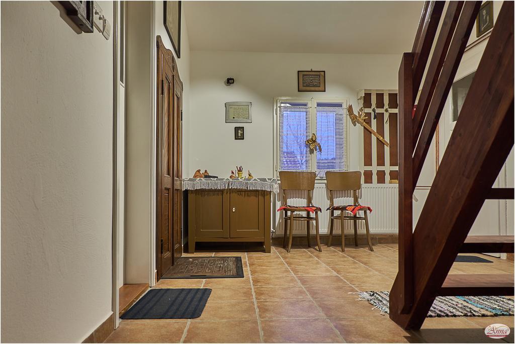 Ana Guesthouse Senta Exteriér fotografie