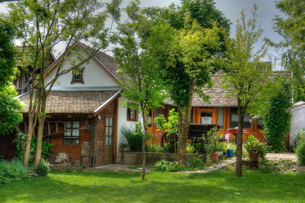 Ana Guesthouse Senta Exteriér fotografie